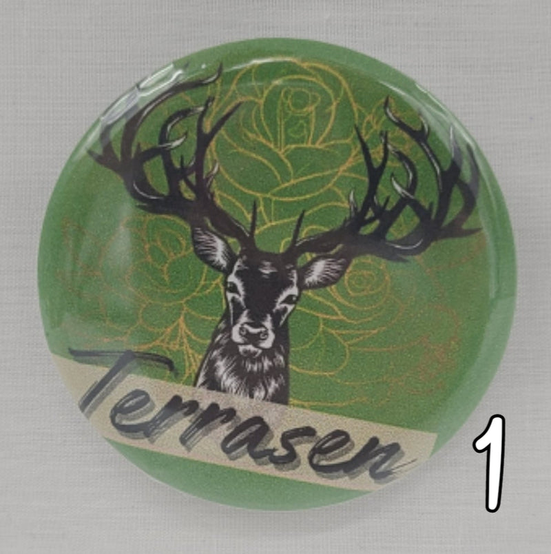 Sarah J Maas Pinback Buttons - Terrasen